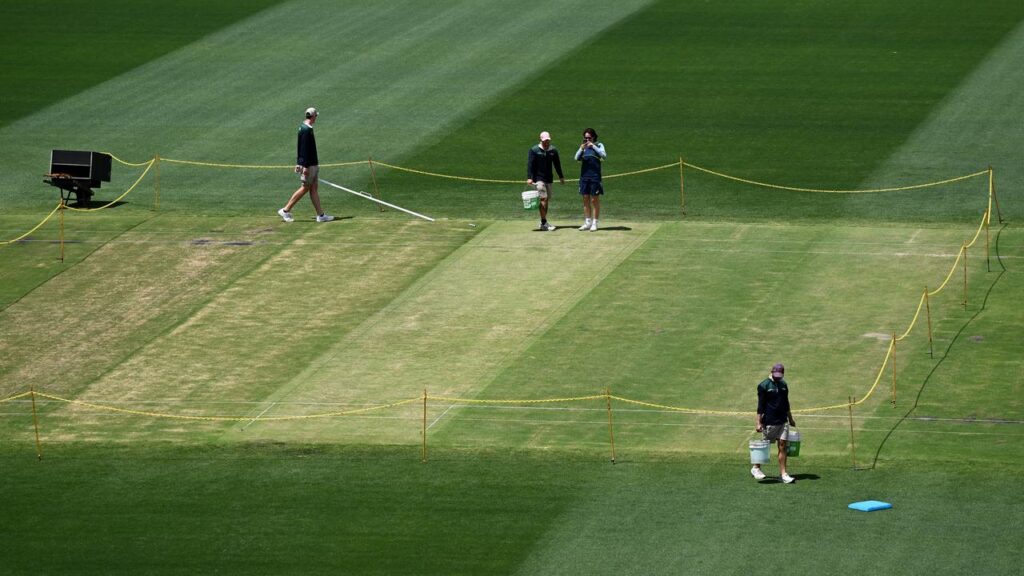 A touch green, but the SCG curator is confident the pitch will go the distance in the fifth Test.
