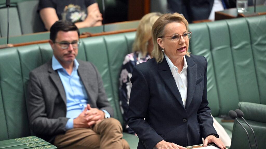 Sussan Ley could face a leadership challenge when federal parliament resumes next month.
