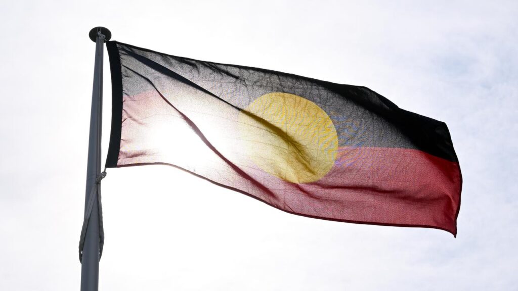 An Aboriginal land council has taken new court action to speed up some long delayed land claims.
