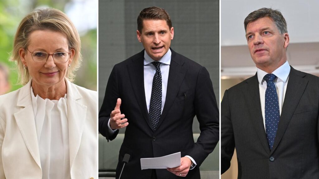 Andrew Hastie and Angus Taylor are angling to replace Sussan Ley as Liberal Party leader.
