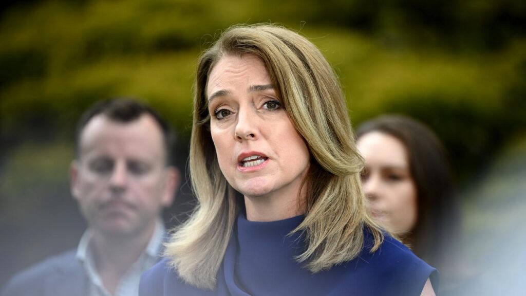 NSW Opposition Leader Kellie Sloane has unveiled a new shadow ministry a year from a state election.
