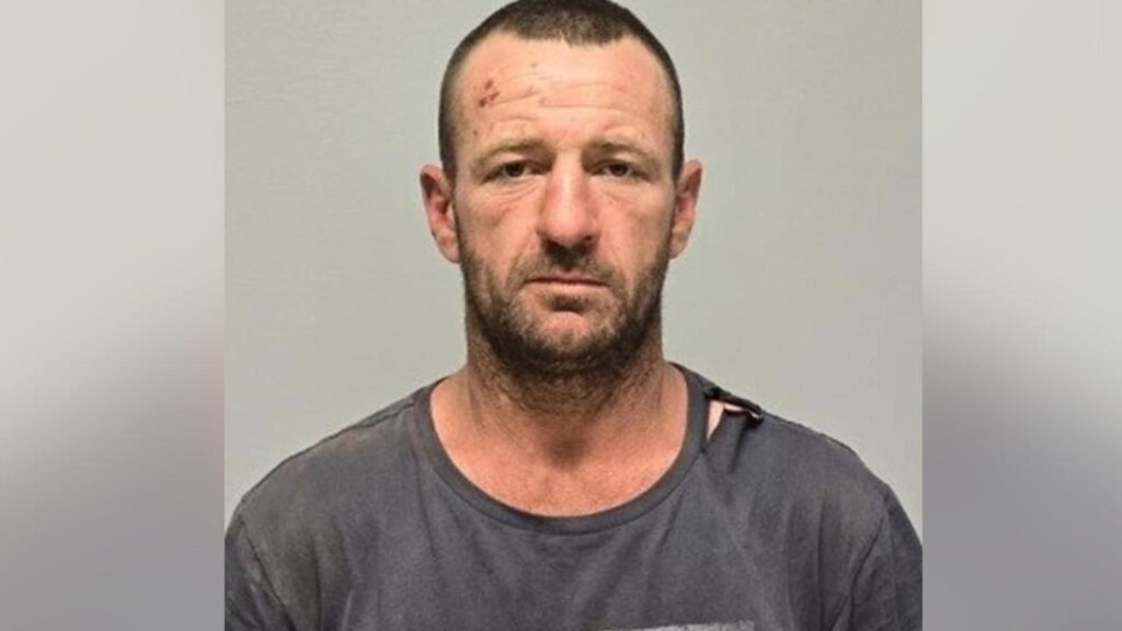 Julian Ingram is alleged to have fatally shot three people, including his pregnant former partner.
