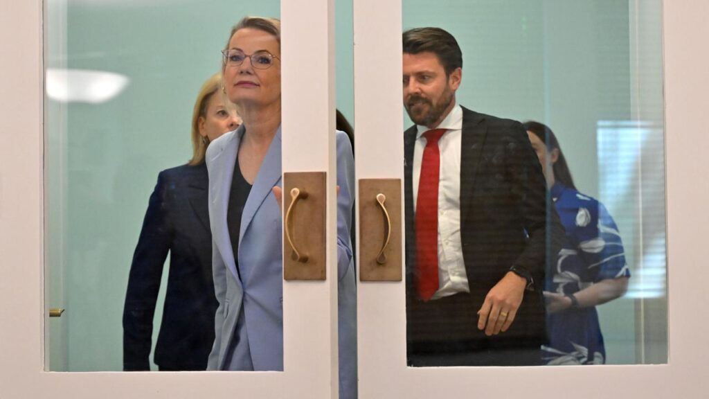 Opposition Leader Sussan Ley has already expressed some concern with the proposed reforms.
