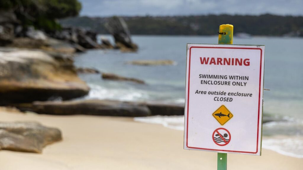 Two boys have been involved in shark attacks in as many days at Sydney beaches.
