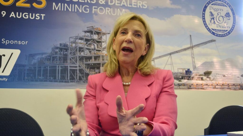 Lynas’ value has increased under Amanda Lacaze, from around $400m in 2014 to close to $15 billion.
