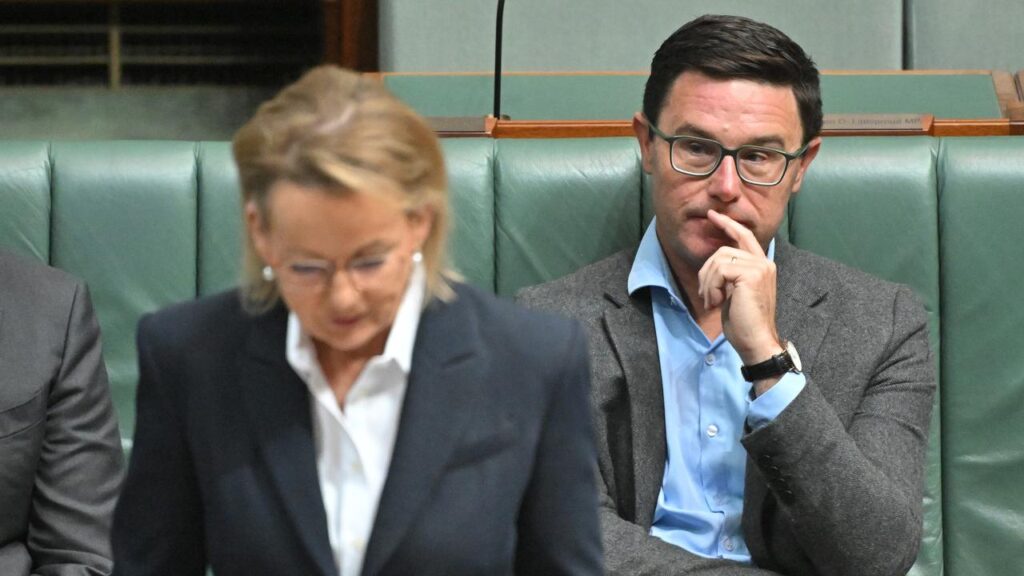 Opposition Leader Sussan Ley is facing a mutiny from Nationals members led by David Littleproud.
