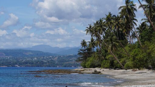 SOLOMON ISLANDS STOCK