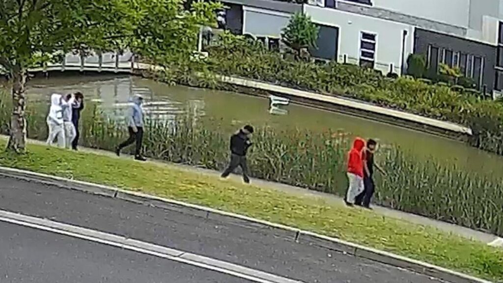 A group of youths was seen walking along a street before two brothers were attacked.
