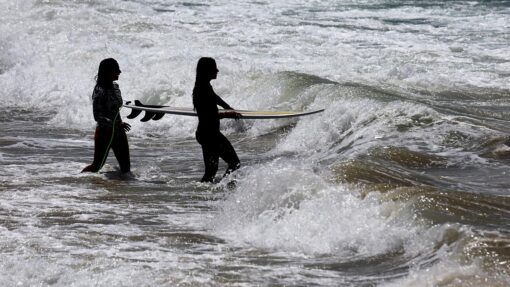 'Incredibly difficult': boy in shark attack hanging on BYRON BAY SHARK ACTIVITY