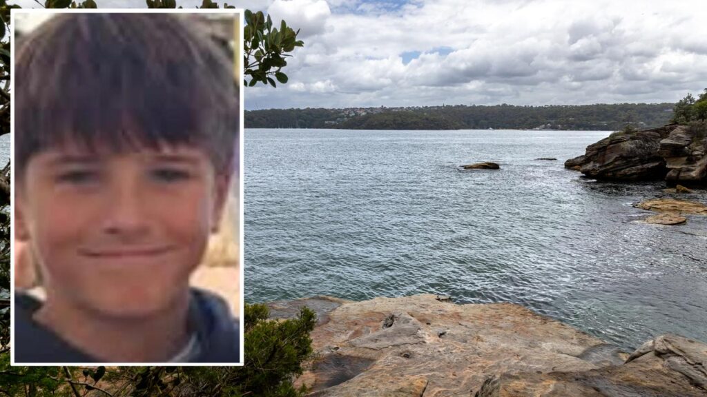 NSW will boost beach safety after recent shark attacks, including one that killed Nico Antic.
