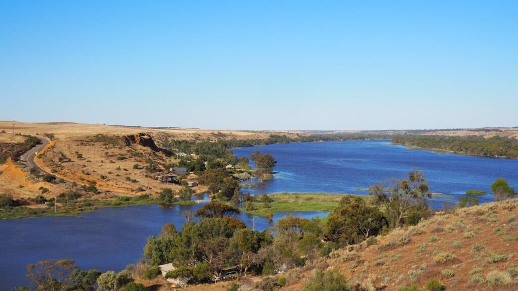 The Lower River Murray has been listed as critically endangered under national environment law.
