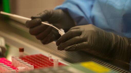 FORENSIC SCIENCE QUEENSLAND