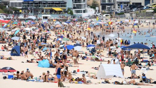 Beaches set for holiday reopening after shark attacks HOT WEATHER SYDNEY