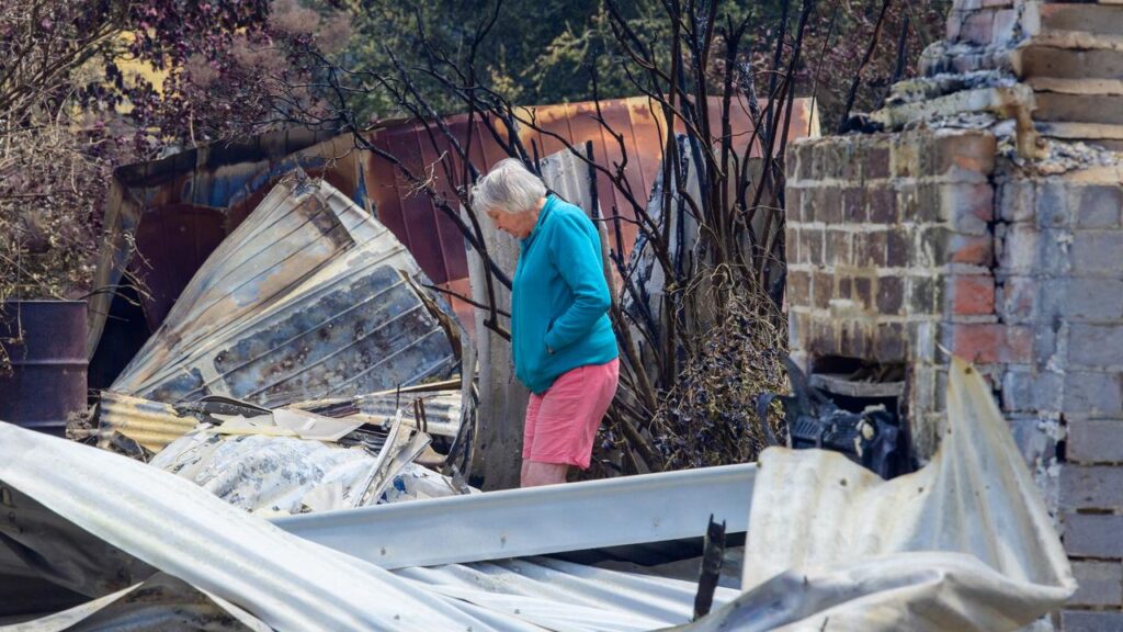 In many cases, residents have returned home to discover only ruins.
