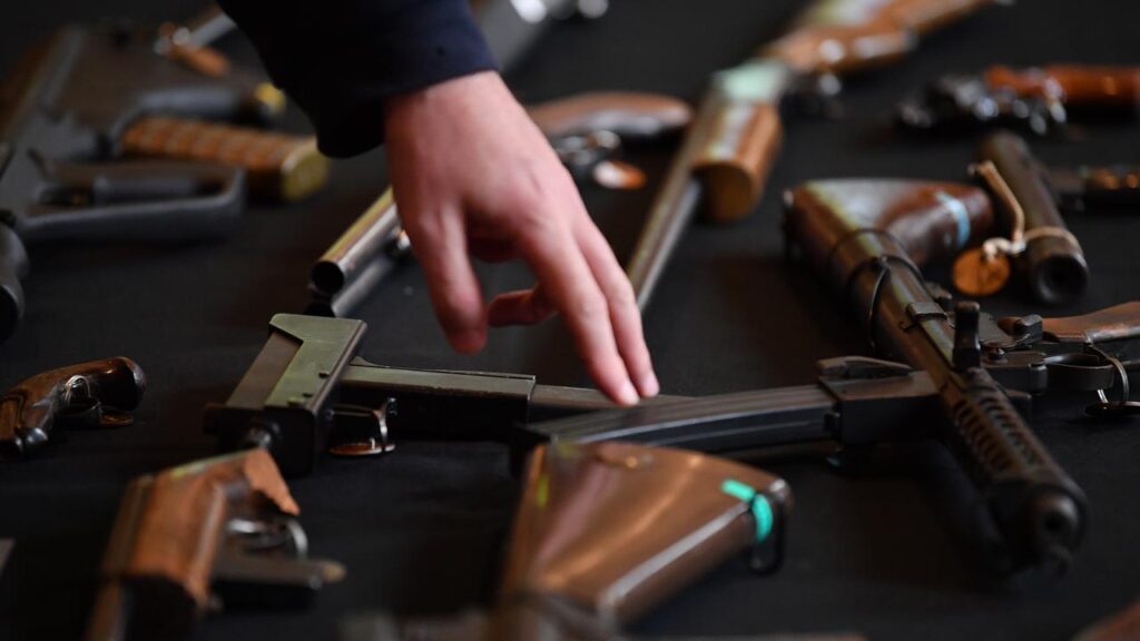 The federal government says a gun buyback scheme will remove more than four million firearms.
