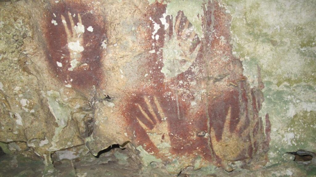 Scientists have found the oldest known rock art in the world in a cave in Sulawesi, Indonesia.
