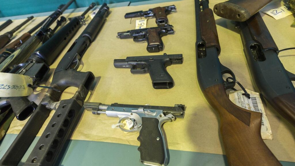 Queensland will not participate in the national gun buyback scheme, the premier has announced.
