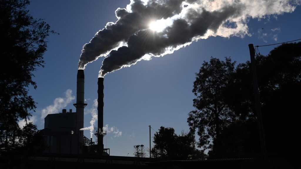 Proceeds from a tax on fossil fuel companies could be shared with consumers, a report suggests.
