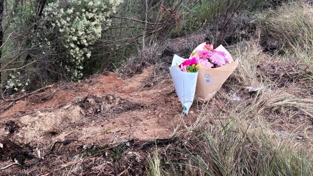 A collision which killed three people will be traumatic for the small local community, police say.
