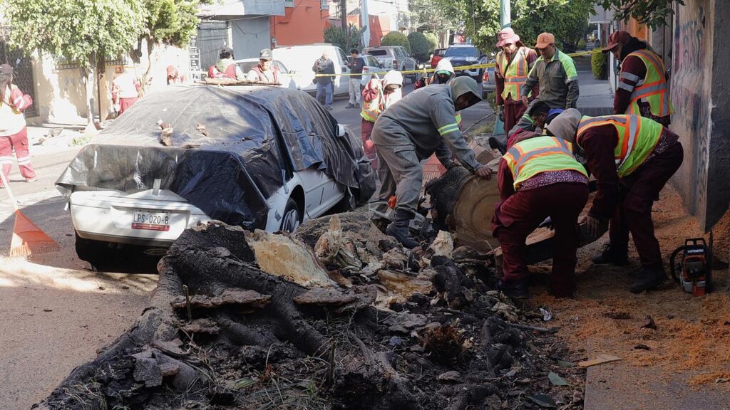 A 6.5-magnitude earthquake struck near Mexico’s state of ‍Guerrero at a depth of 35km.
