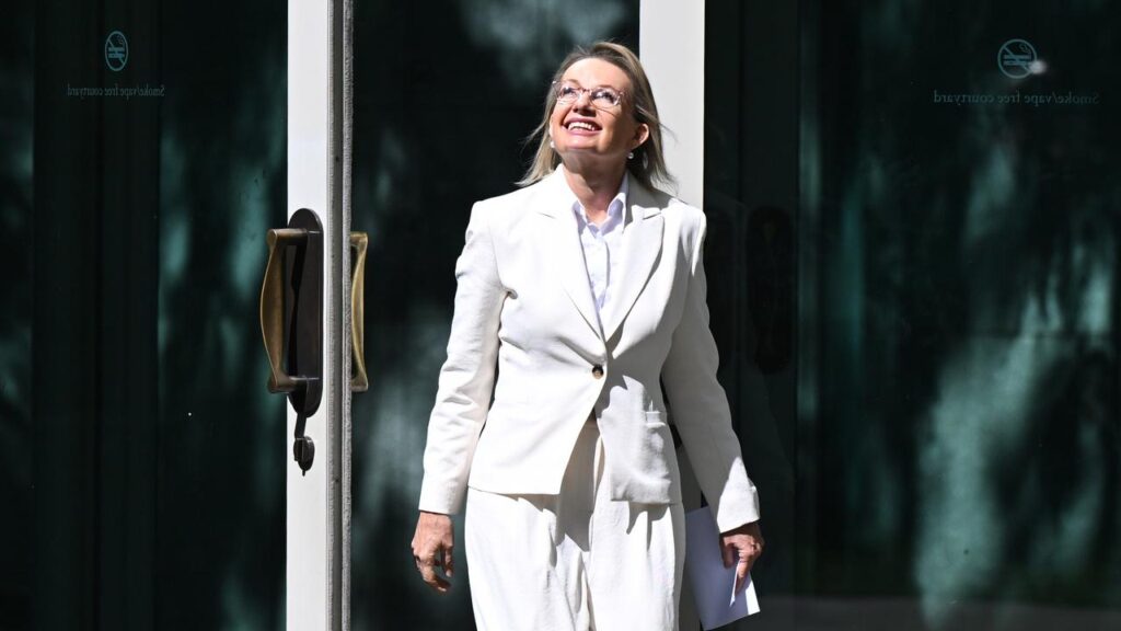 Sussan Ley isn’t sure what she will do next other than pursuing her passion for aviation.
