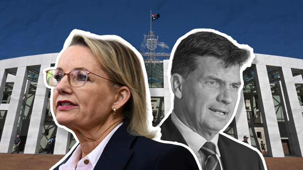 The federal Liberal Party is rumbling towards a leadership challenge following weeks of speculation.
