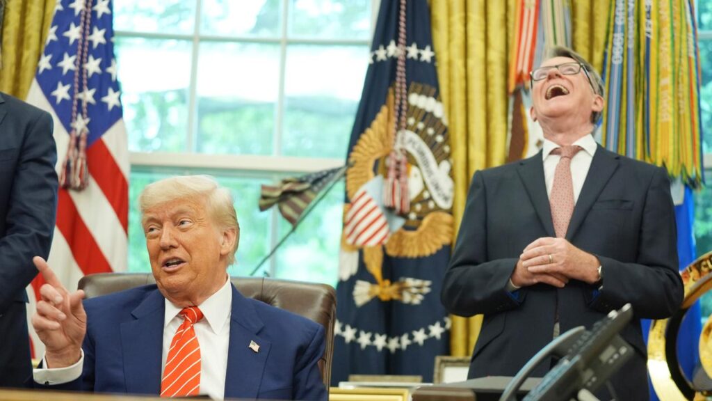 Former UK ambassador to the US Peter Mandelson is being investigated over links to Jeffrey Epstein.
