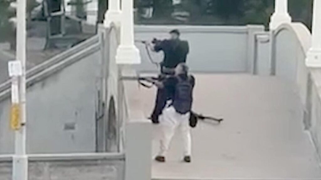 Naveed Akram has faced court accused of carrying out the deadly Bondi terror attack with his father.
