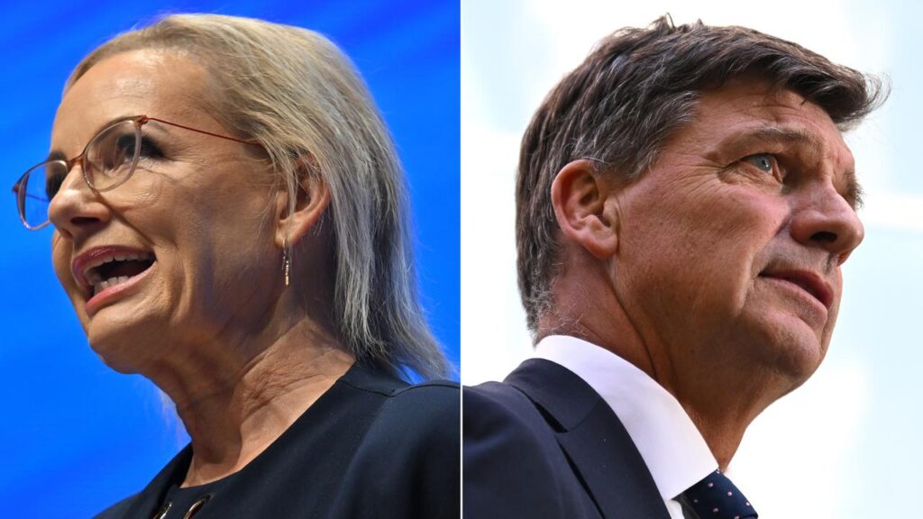 Liberal MPs will meet to decide whether Sussan Ley or Angus Taylor leads the beleaguered party.
