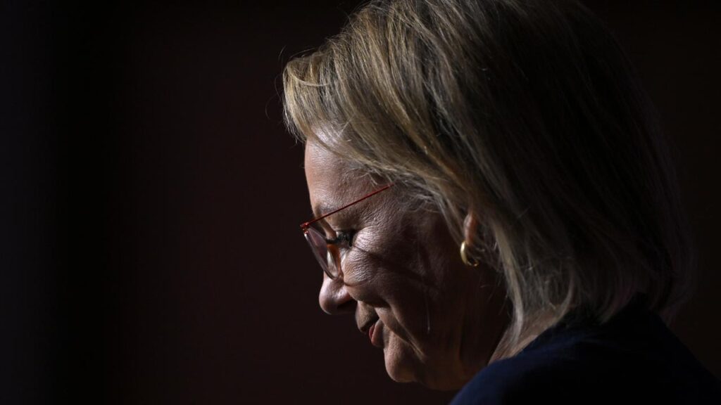 Liberal leader Sussan Ley is attempting to revive the coalition while staving off a leadership coup.
