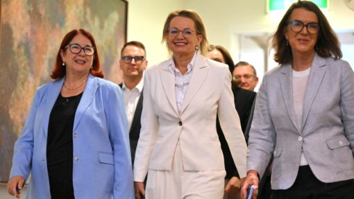 LIBERAL LEADERSHIP SPILL