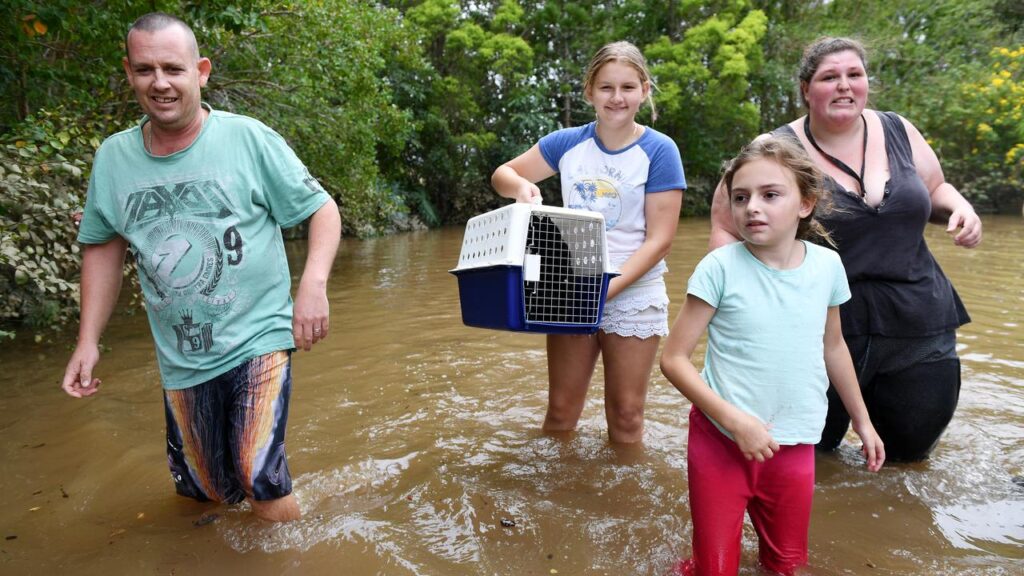 Disaster victims need to be prepared to move their pets in a hurry.
