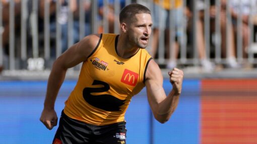 Hogan heroics fall short as Victoria beat WA in Origin AFL ORIGIN