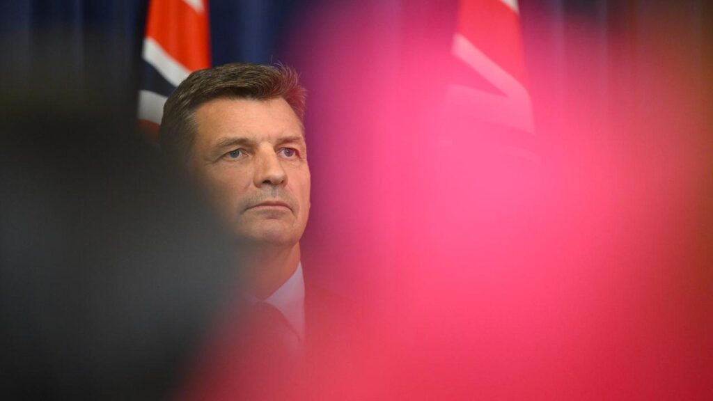 Opposition Leader Angus Taylor has promised to weed out those who “reject our way of life”.
