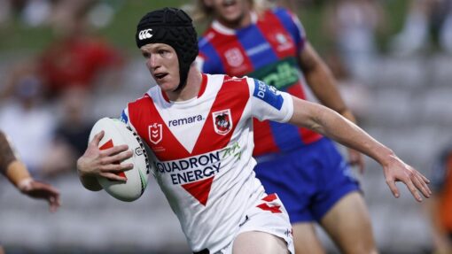 NRL DRAGONS KNIGHTS