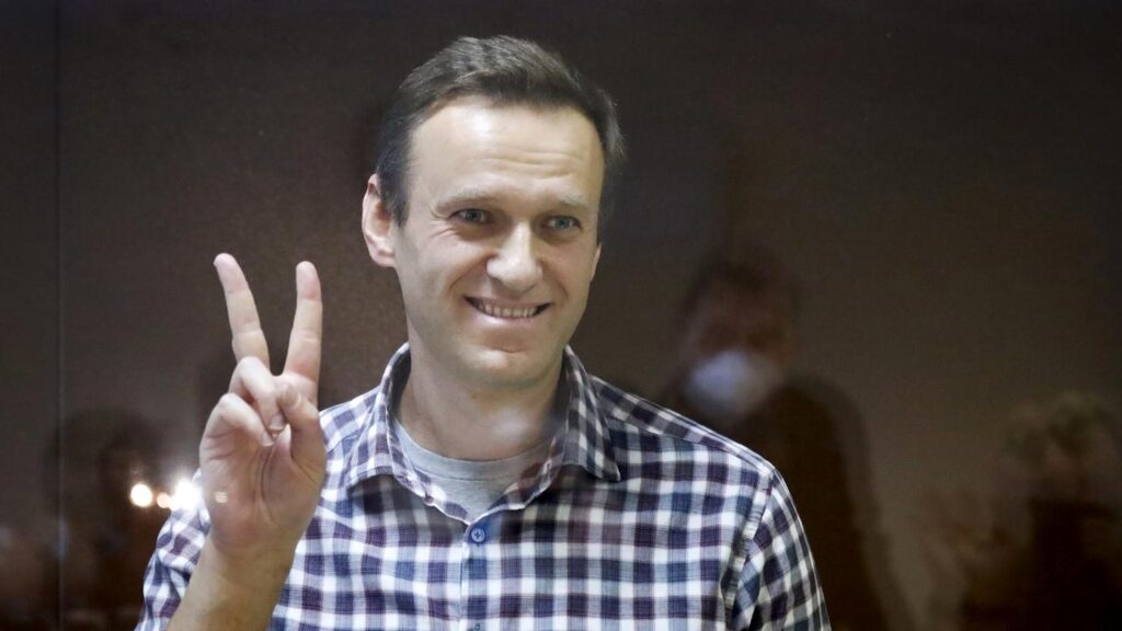 The UK and allies are convinced Russian opposition leader Alexei Navalny was poisoned.
