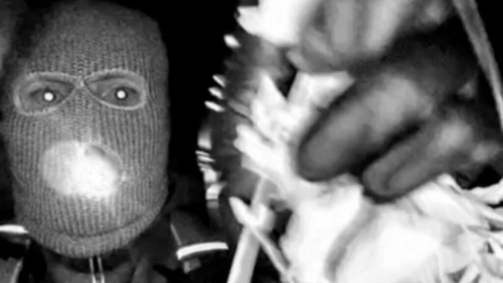 Images released by the FBI show a masked man at the home of Nancy Guthrie.
