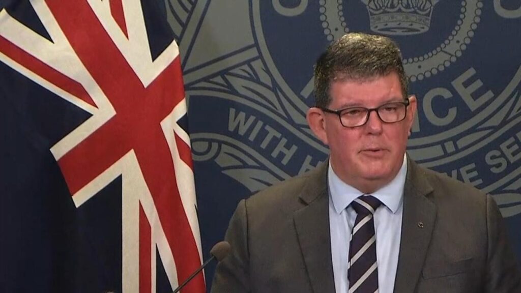Brett Pointing has been named as Queensland’s new interim police chief.
