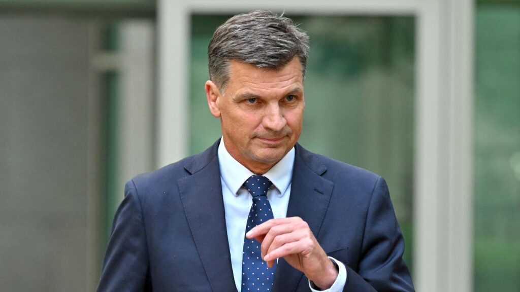 Angus Taylor has paved the way for a tilt at the Liberal leadership after quitting the front bench.
