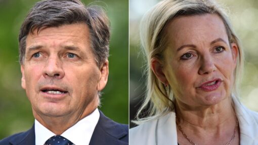 SUSSAN LEY ANGUS TAYLOR DIPTYCH