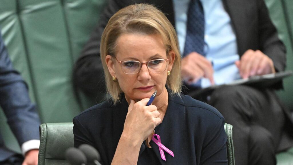 Sussan Ley says the revived coalition is focused on holding the government to account.
