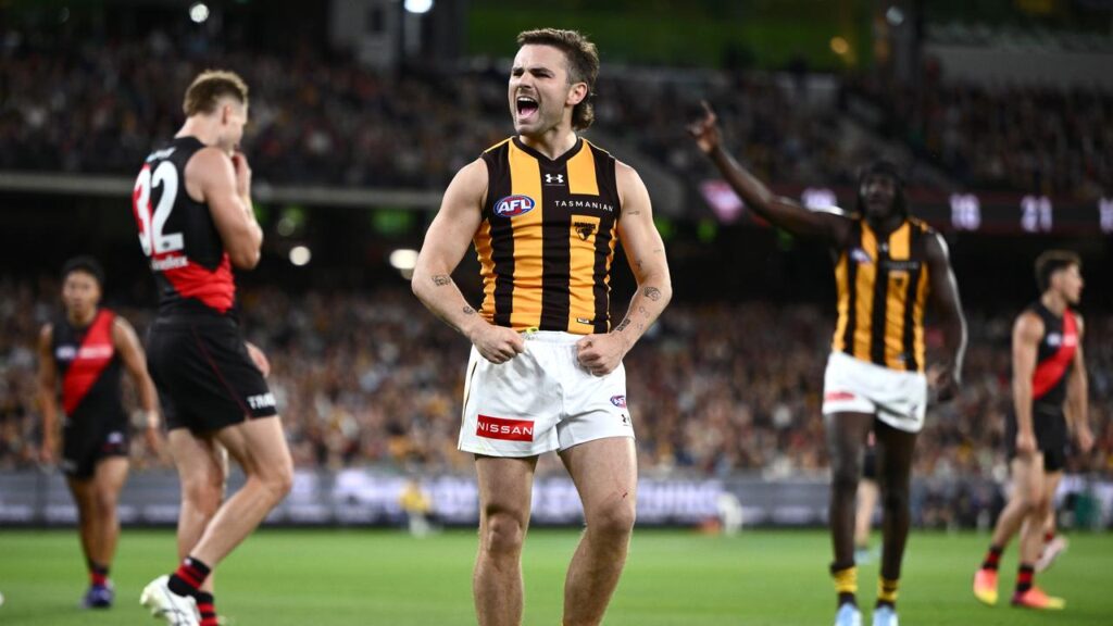 The Hawks have flexed their premiership muscle in a big round-one win over rivals Essendon.
