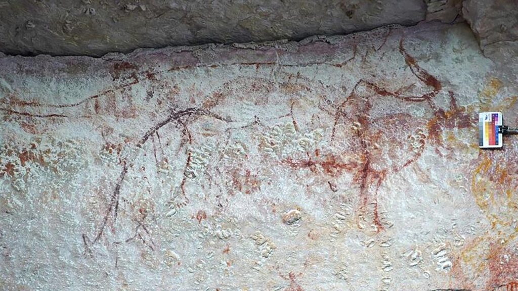 More than 160 depictions of thylacines have been found across Australia.
