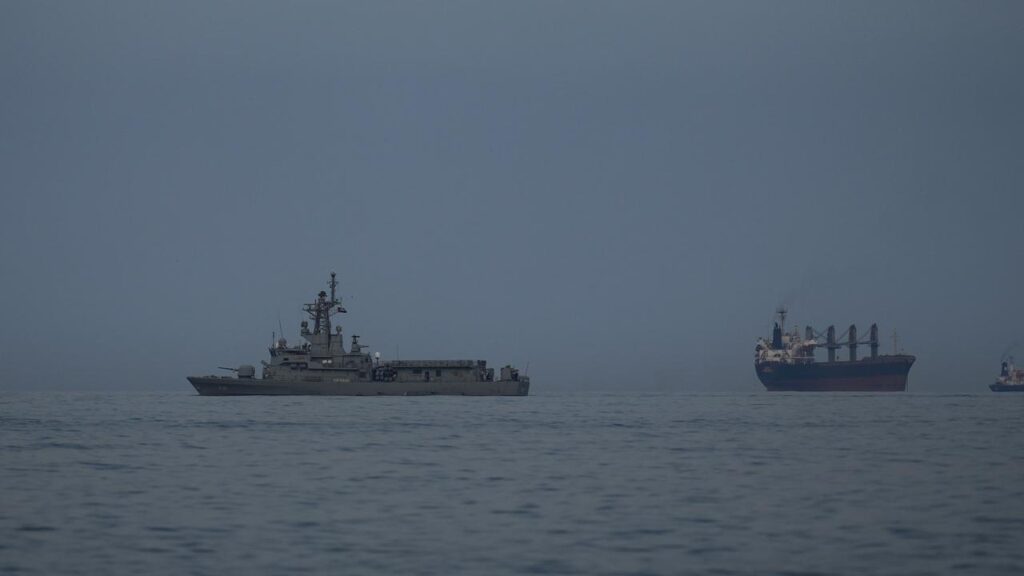 US officials have not said whether any ​countries have agreed to send ships to the Strait of Hormuz.
