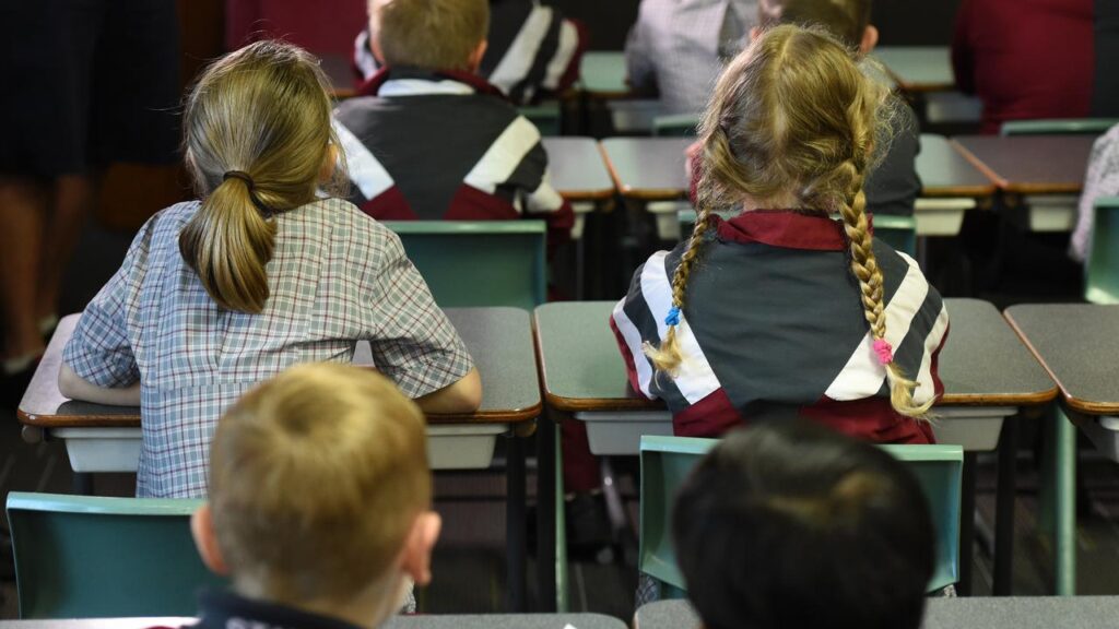 NAPLAN testing was halted after students and teachers were unable to access the writing component.
