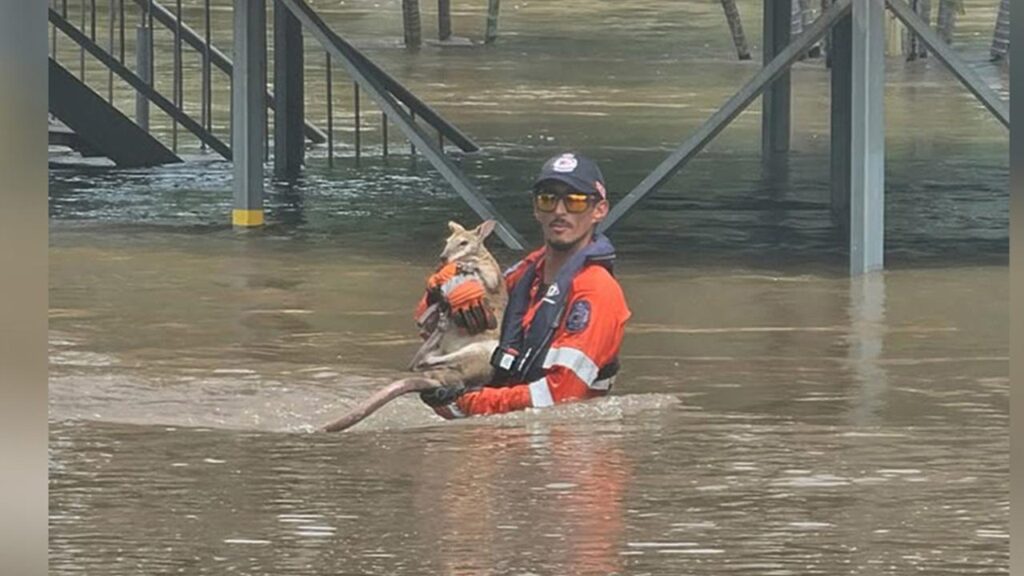 Flooding along the Katherine River, south of Darwin, has reached levels not seen for 20 years.
