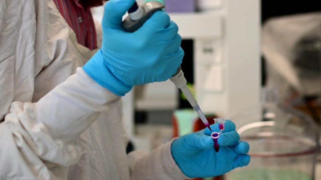 A report has recommended Australia boost research funding for a range of fields, including health.
