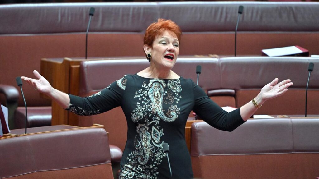 Pauline Hanson is now looking to a federal by-election and the Victorian poll after the SA election.
