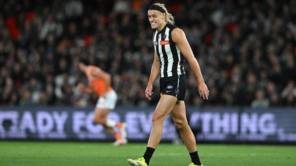 Scans show Darcy Moore has a low-grade hamstring strain and inflamed bursa behind the knee.
