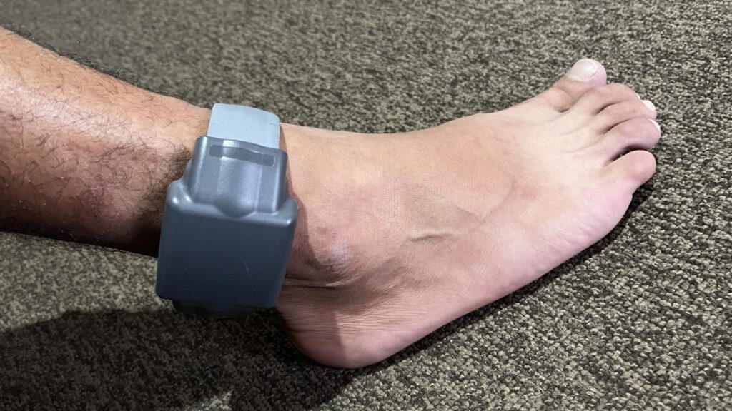 The High Court has ruled that a murderer’s electronic monitoring and curfew are unconstitutional.
